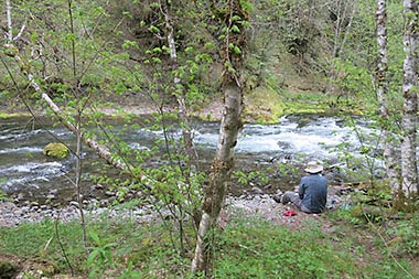 North Umpqua Trail riverside rest